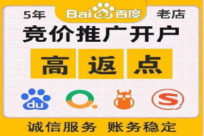 百度竞价推广公司经典案例解析：广告投放策略的智慧
